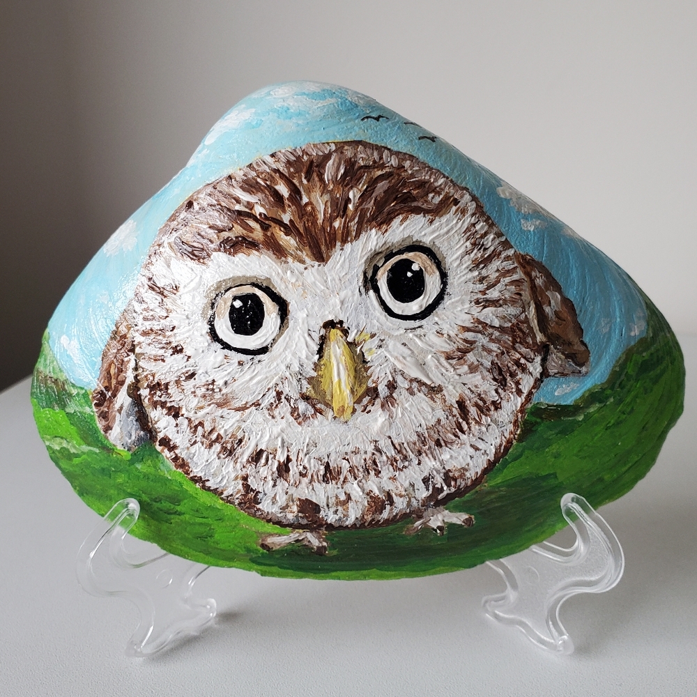 Original Cute Round Puffy Owl Hand-Painted 5.25" Seashell By Art4annz